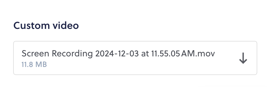Screenshot 2024-12-17 at 10.56.40 AM.png