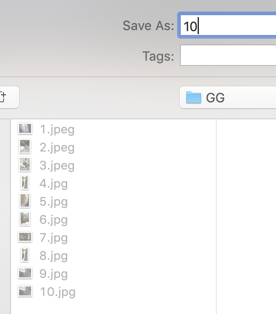 Screen_Shot_2020-10-28_at_10.56.47_AM.png